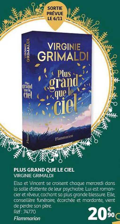 PLUS GRAND QUE LE CIEL  
VIRGINIE GRIMALDI