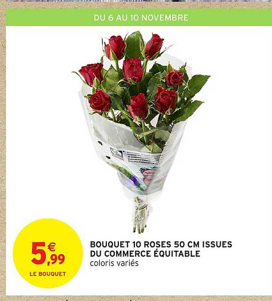 BOUQUET 10 ROSES 50 CM ISSUES DU COMMERCE ÉQUITABLE