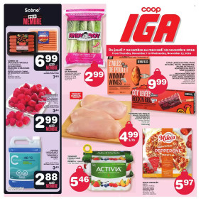 IGA flyer