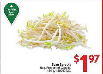 Bean Sprouts