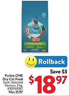 Purina ONE Dry Cat Food