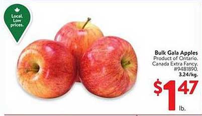 Bulk Gala Apples