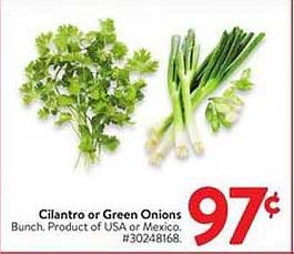 Cilantro or Green Onions