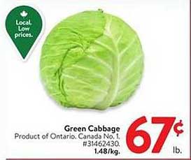 Green Cabbage