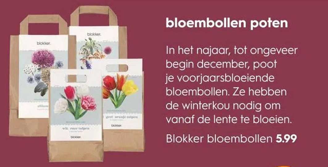 bloembollen poten