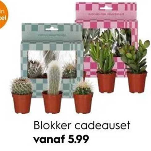 Blokker cadeauset