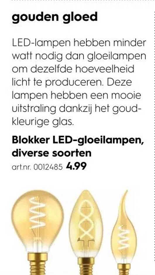 Blokker LED-gloeilampen, diverse soorten