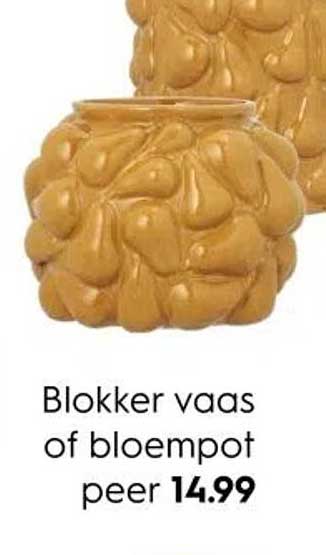 Blokker vaas of bloempot peer