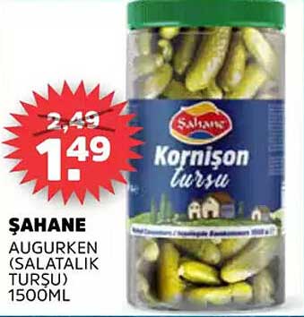 ŞAHANE AUGURKEN (SALATALIK TURSÜ)