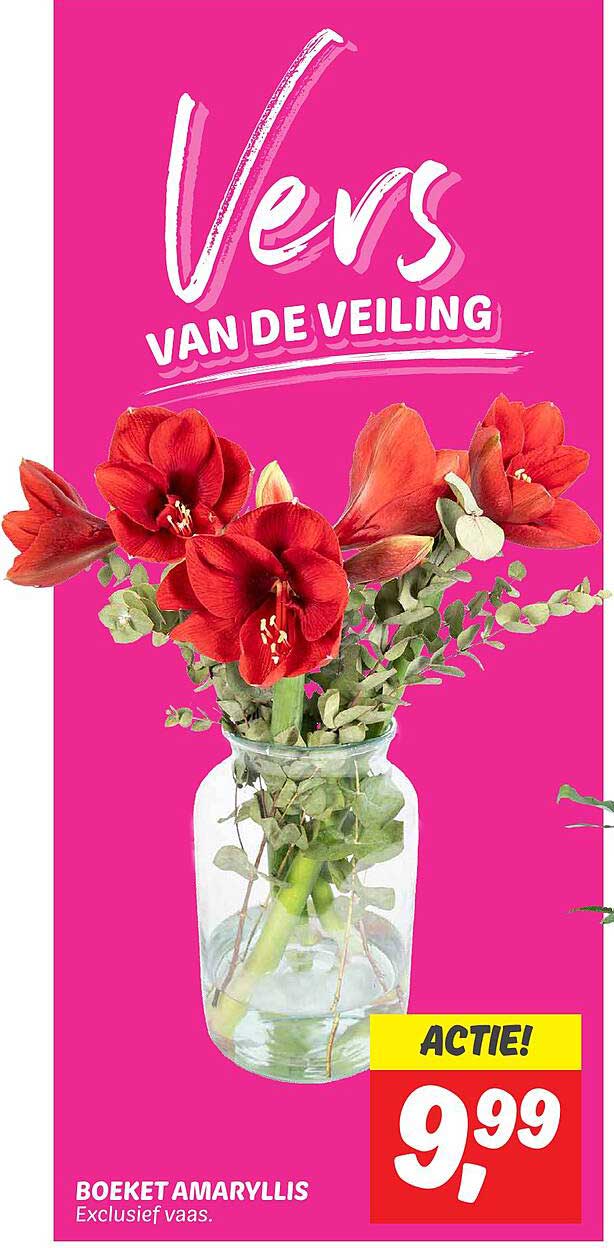 BOEKET AMARYLLIS