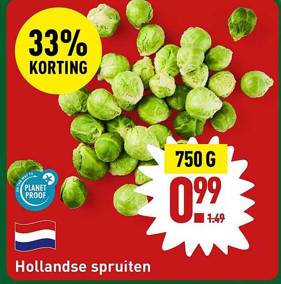 Hollandse spruiten