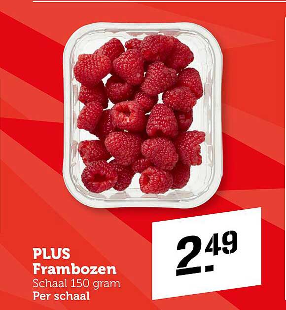 PLUS Frambozen