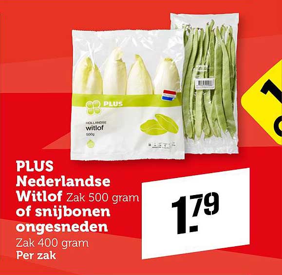 PLUS Nederlandse Witlof Zak 500 gram of snijbonen ongemonteerd