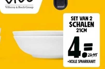 SET VAN 2 SCHALEN 21CM