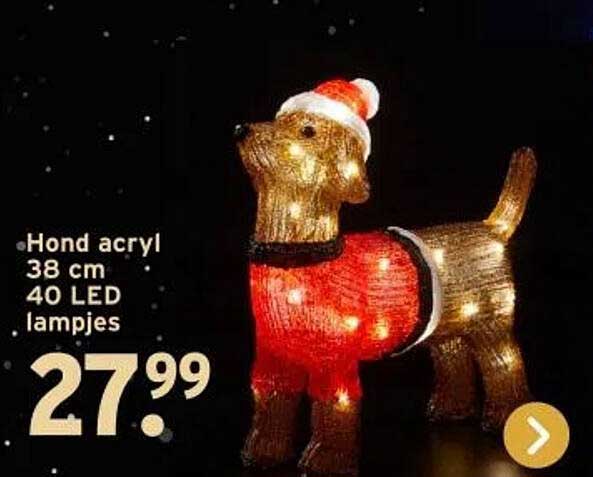 Hond acryl 38 cm 40 LED lampjes