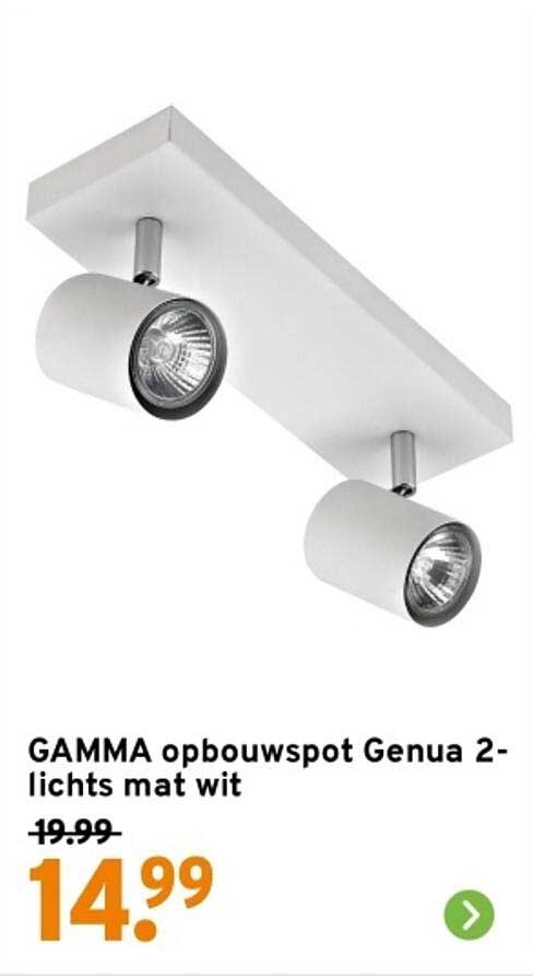 GAMMA opbouwspot Genua 2-lichts mat wit