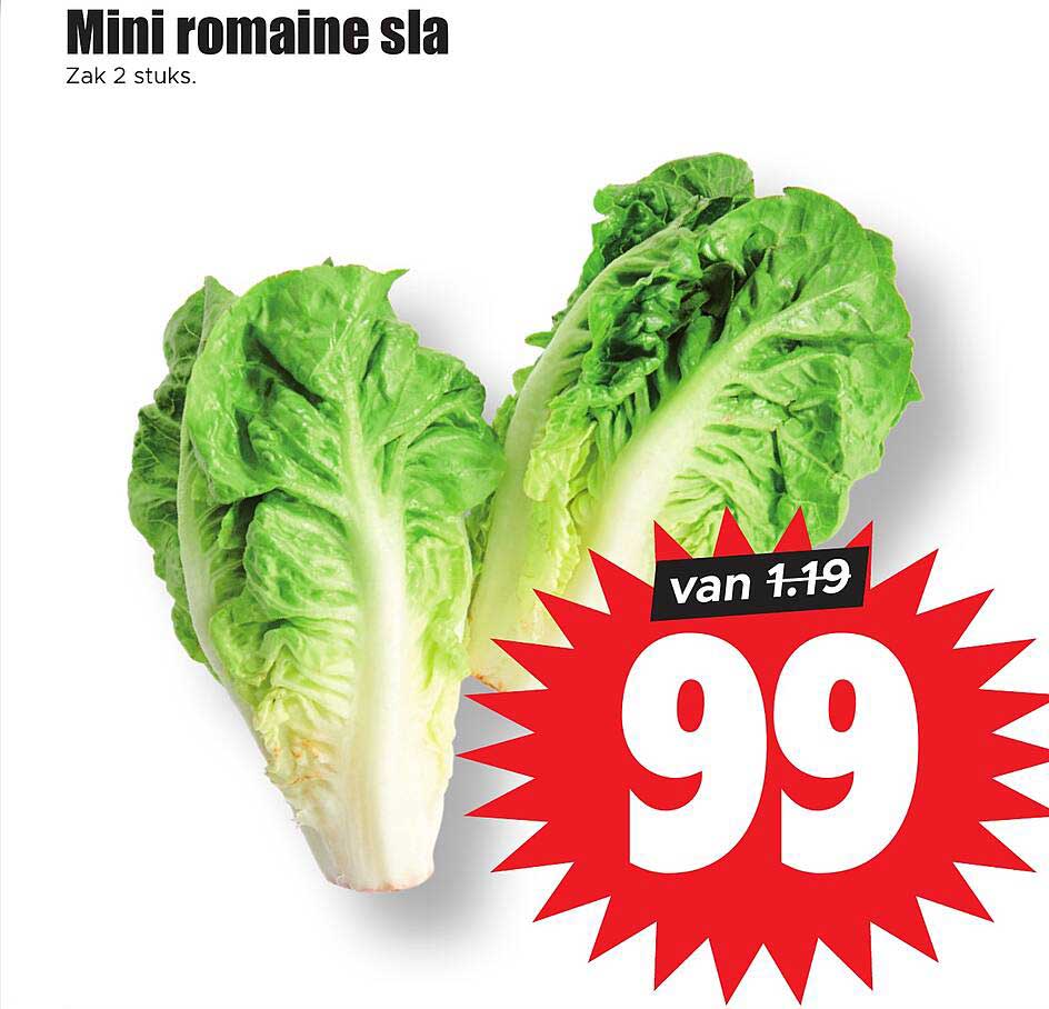 Mini romaine sla