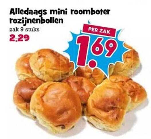 Alledaaqs mini roomboter rozijnenbollen