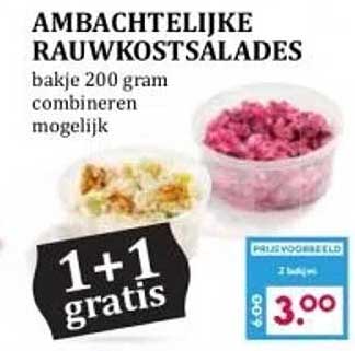 AMBACHTELIJKE RAUWKOSTSALADES