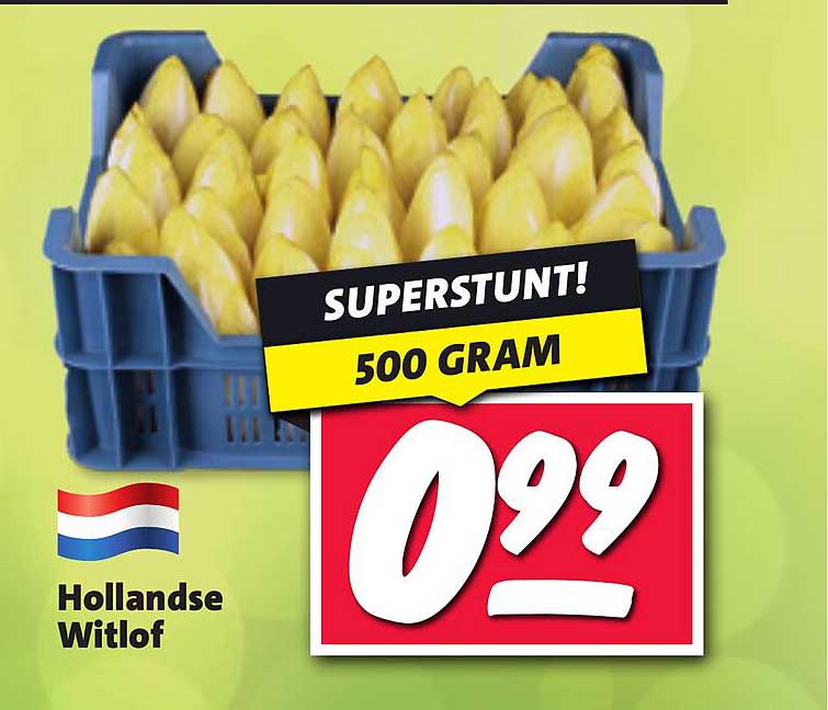 Hollandse Witlof