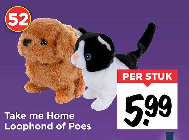 Take me Home Loophond of Poes