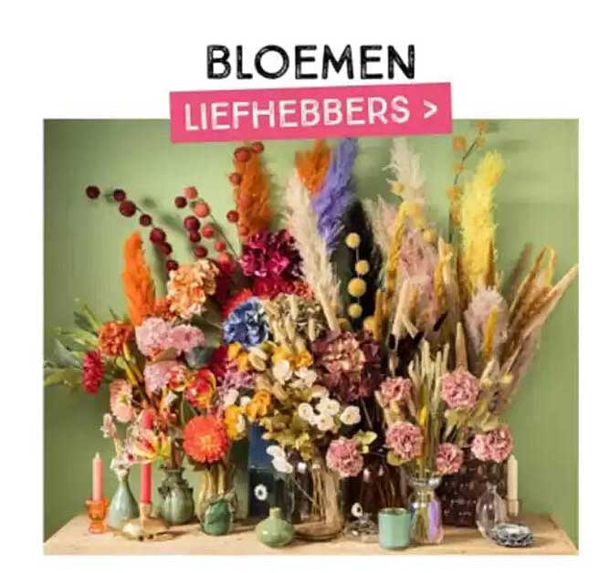 BLOEMEN LIEFHEBBERS >