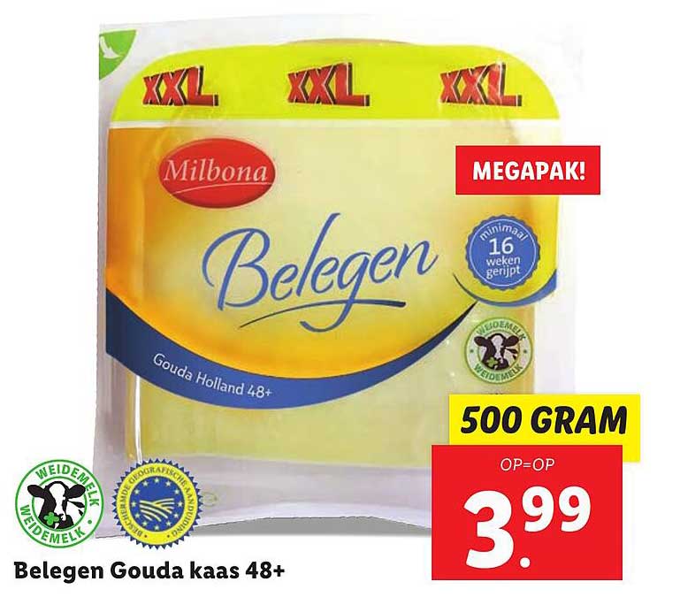 Belegen Gouda kaas 48+