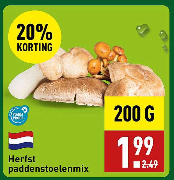 Herfst paddenstoelenmix