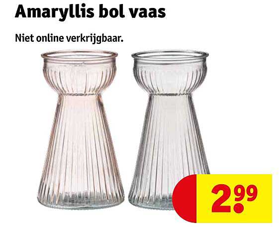 Amaryllis bol vaas