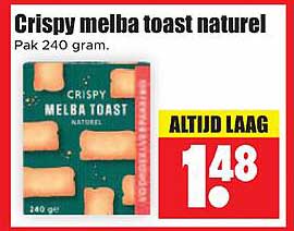 Crispy melba toast naturel