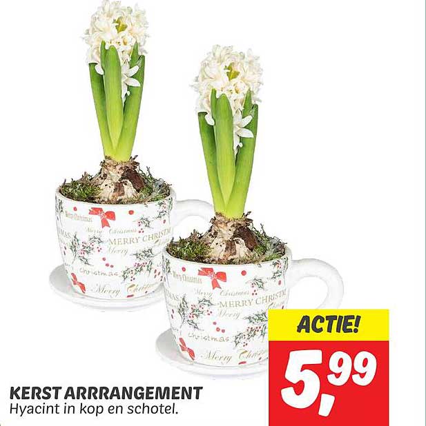 KERST ARRANGEMENT