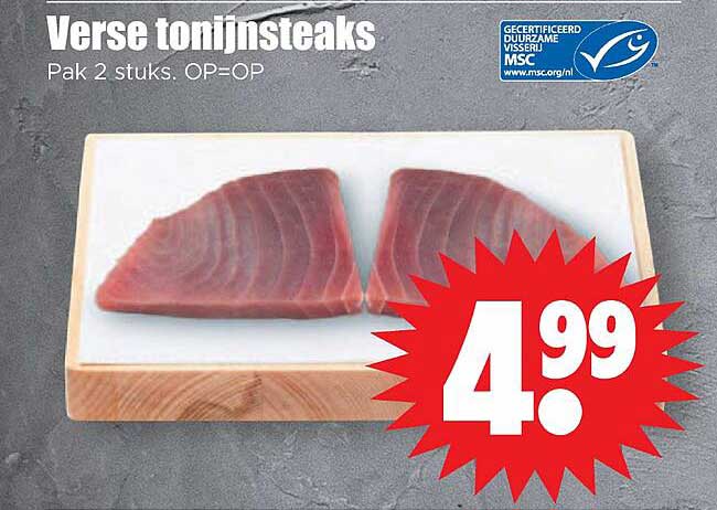 Verse tonijnsteaks