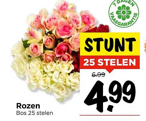 Rozen Bos 25 stelen