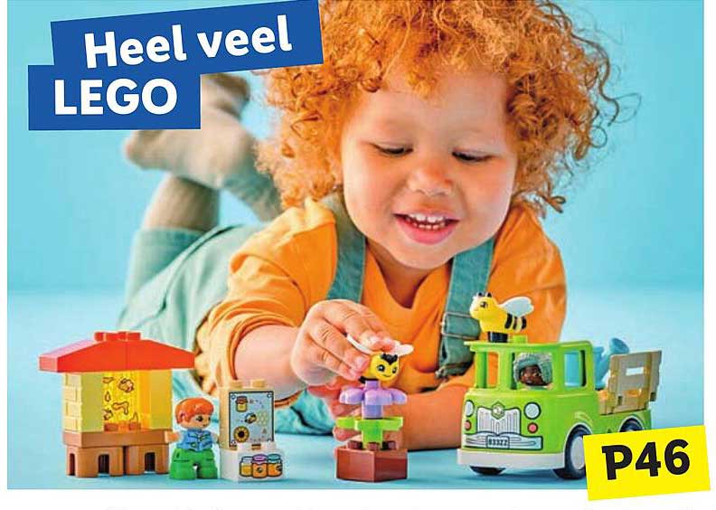 Heel veel LEGO