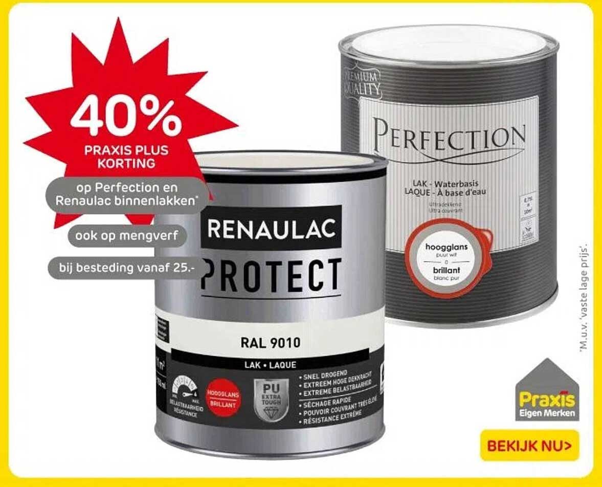 Renaulac Protect RAL 9010  
Perfection