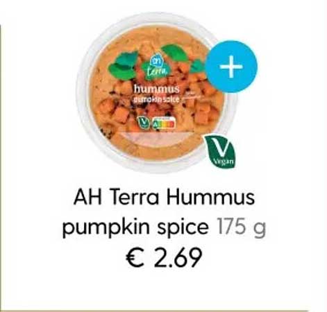 AH Terra Hummus pumpkin spice