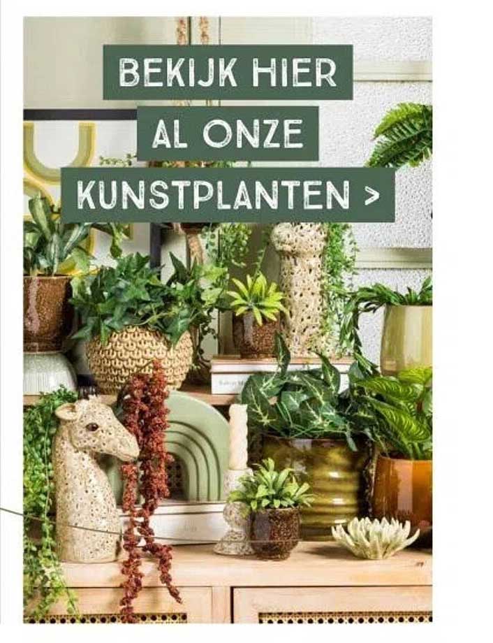 BEKIJK HIER AL ONZE KUNSTPLANTEN