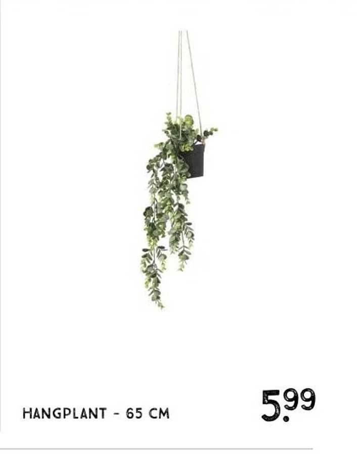 HANGPLANT - 65 CM