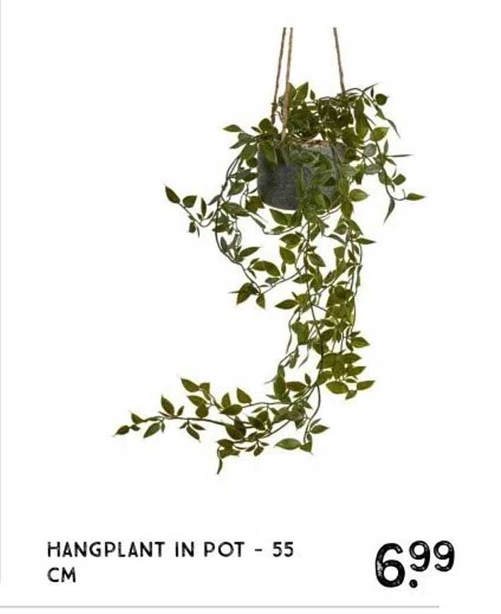 HANGPLANT IN POT - 55 CM