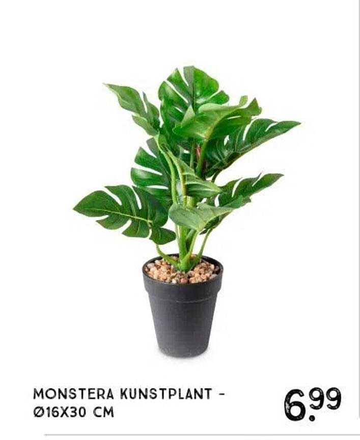 MONSTERA KUNSTPLANT