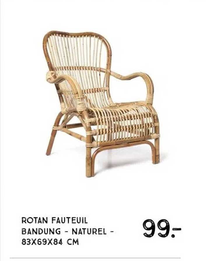 ROTAN FAUTEUIL BANDUNG - NATUURLIJK