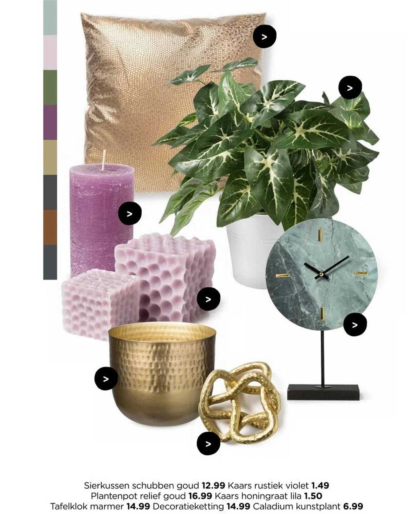 Sierkussen schubben goud 12.99 Kaars rustiek violet 1.49 Plantenpot relief goud 16.99 Kaars honingraat lila 1.50 Tafelklok marmer 14.99 Decoratieketting 14.99 Caladium kunstplant 6.99