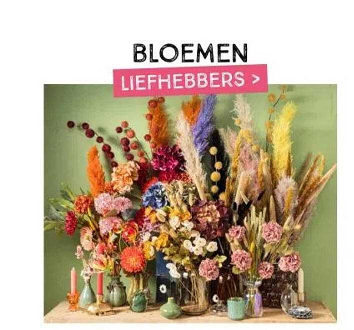 BLOEMEN LIEFHEBBERS >