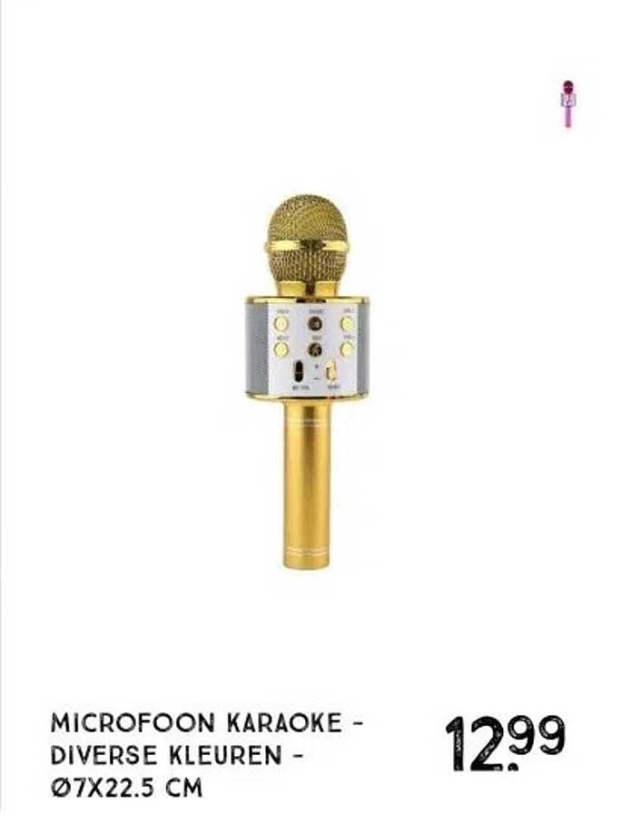 MICROFOON KARAOKE - DIVERSE KLEUREN -