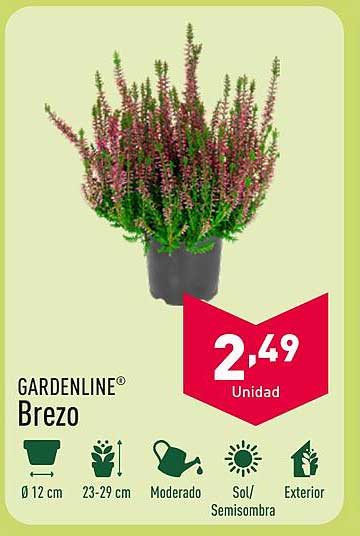 GARDENLINE® Brezo