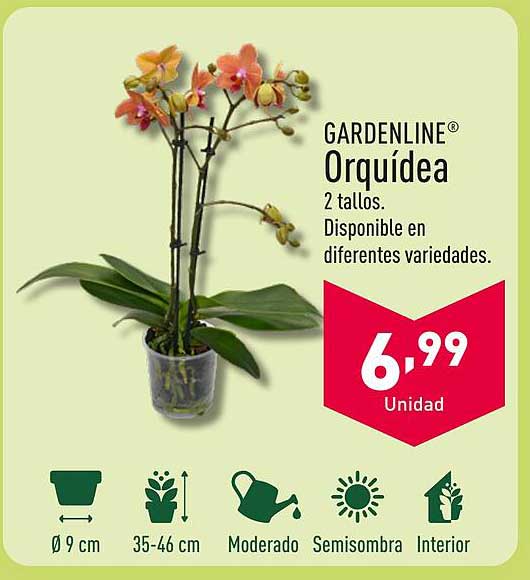 GARDENLINE® Orquídea