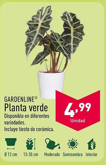 Planta verde