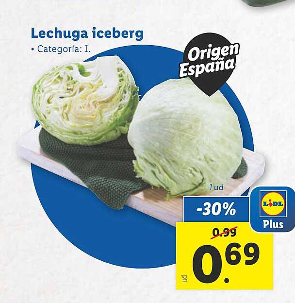 Lechuga iceberg