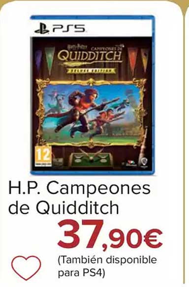 H.P. Campeones de Quidditch