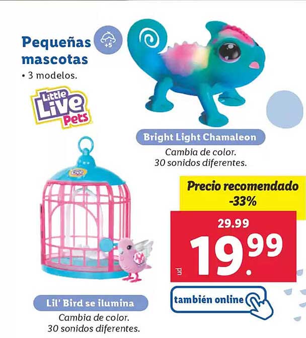 Pequeñas mascotas  
Bright Light Chameleon  
Lil' Bird se ilumina  